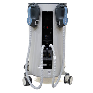 Two BTL Powerhouses: 2020 BTL Aesthetics Emsella & 2020 Emsculpt Neo